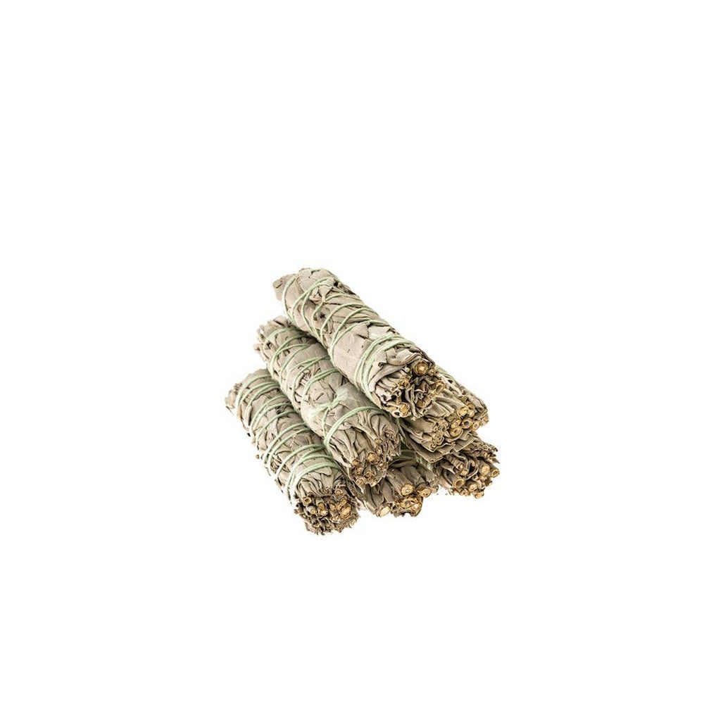 California White Sage Bundle 3”- 4”